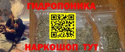 стаф Гагарин