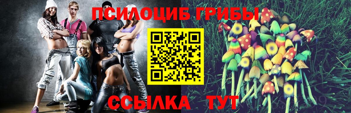 Галлюциногенные грибы Psilocybe  Вход с VPN  Строитель 